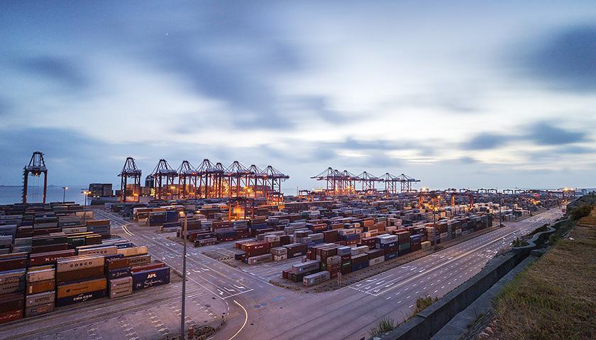 <b>最強的自由貿易港攻略在此,別瞎買跟風,看這里</b>