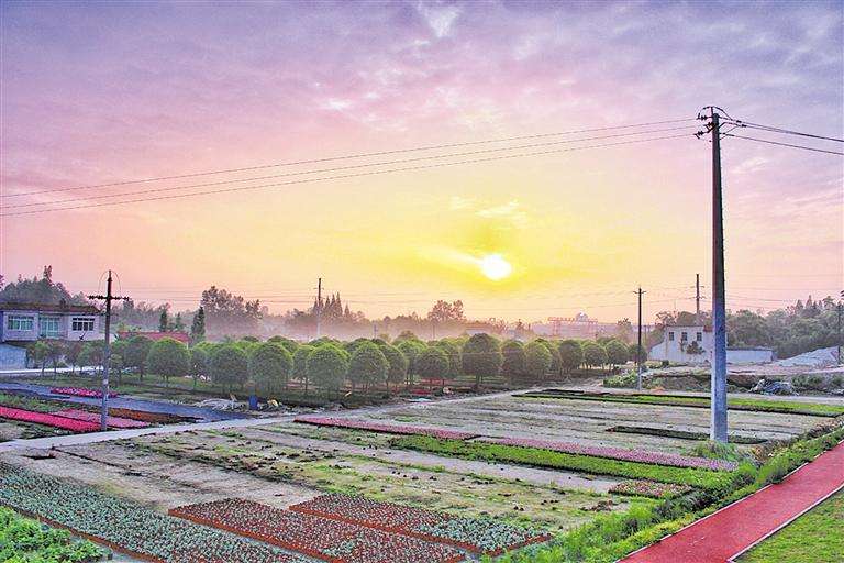 鄉村振興戰略規劃農村產業融合發展步伐望加快