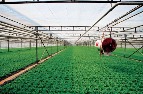 萬向德農(nóng)股票怎樣？公司發(fā)展前景如何