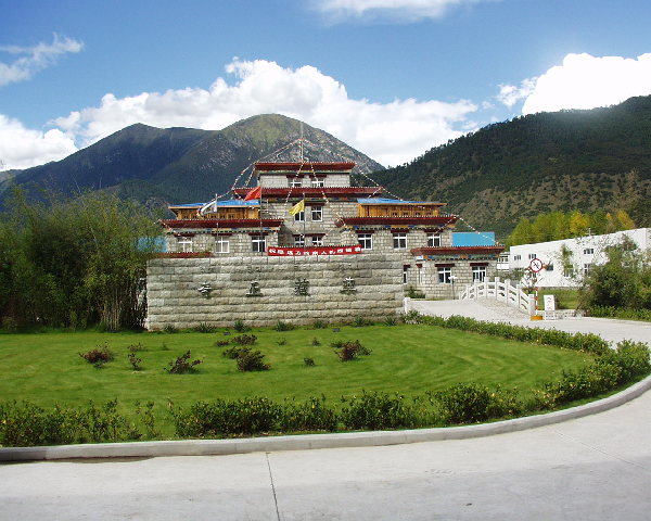 奇正藏藥股票：奇正藏藥(002287)融資融券信息(06-11)