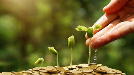 投資理財入門:打板的技巧有哪些? 投資理財入門:打板的技巧有哪些?