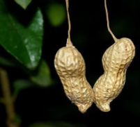 靜下心問一句 我準備好了嗎?