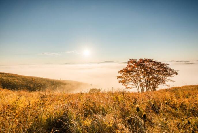 一個重磅電話突襲這次還會大漲嗎?