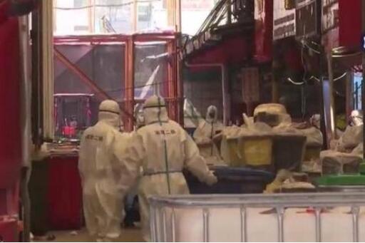 華南海鮮市場消殺