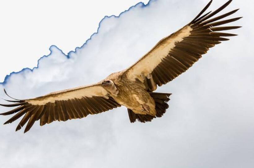 股票中簽后怎么辦