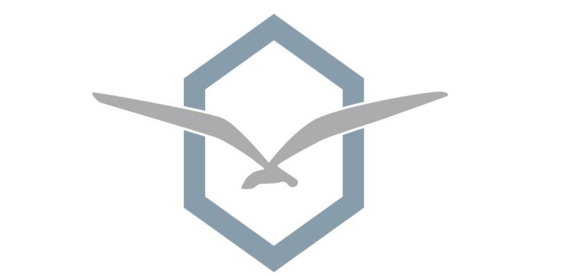 齊翔騰達股票-002408股吧行情走勢圖