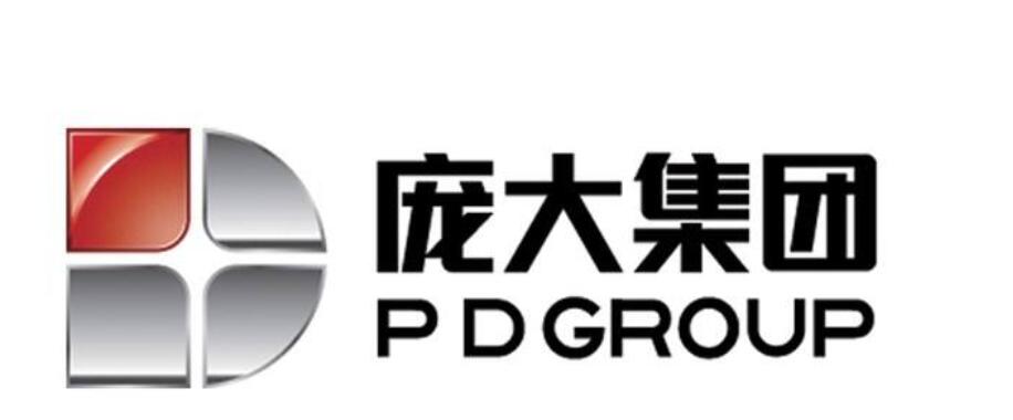 龐大股票-ST龐大[601258]股吧行情分析