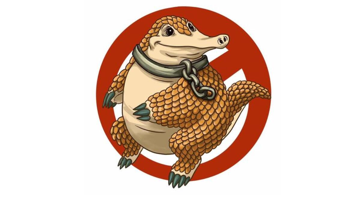 穿山甲從藥典除名 醫(yī)藥概念股票有