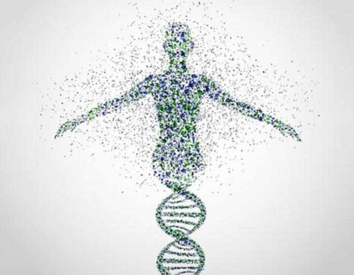 基因測序概念股有哪些-基因測序概