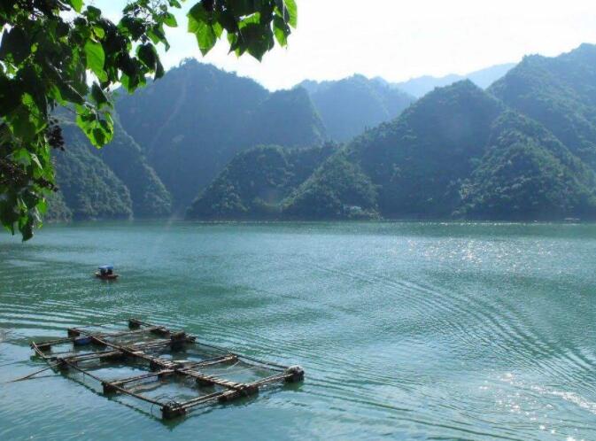 云南鍺業(yè)股票-002428股吧今日行情