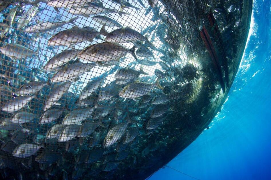 智慧政務概念股票-智慧政務概念股龍頭一覽 智慧政務概念股票-智慧政務概念股龍頭一覽