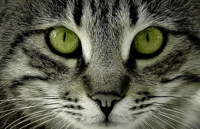 政治局“促進房地產業健康發展和良性循環” 如何實現？