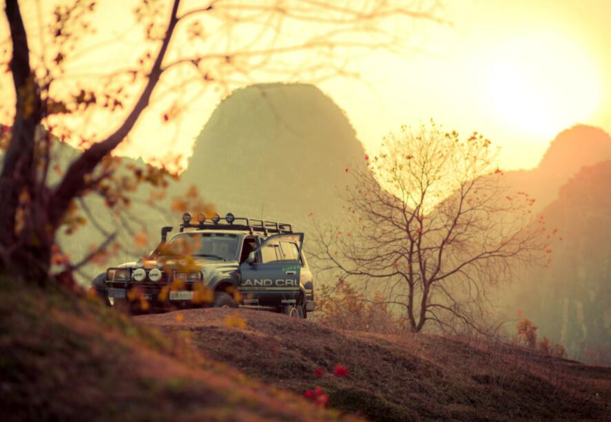 “牛年第一妖股”涼了?公章竟丟了! “牛年第一妖股”涼了?公章竟丟了!