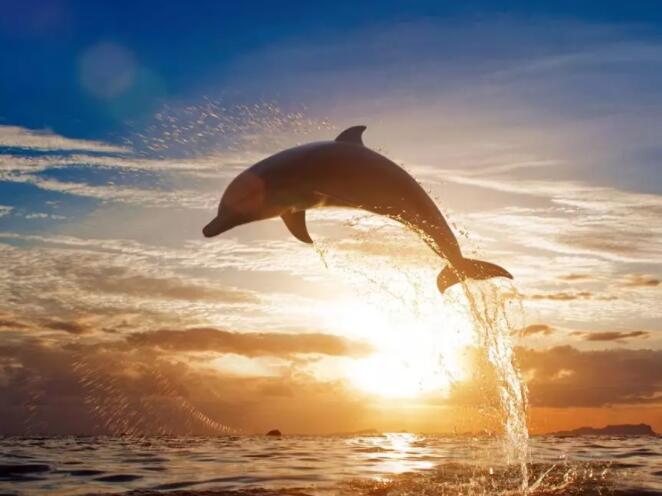 2022，互聯(lián)網(wǎng)醫(yī)療請(qǐng)回答