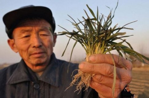 我國北方旱災(zāi)持續(xù) 局地弱降雪難緩旱情