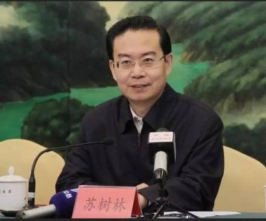 老虎蔡希被曝光 曾任蘇樹林副手