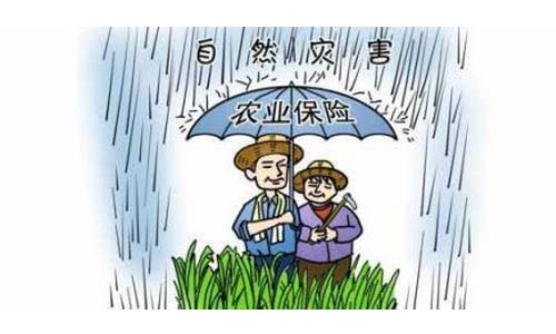 提高農村消費者保險意識