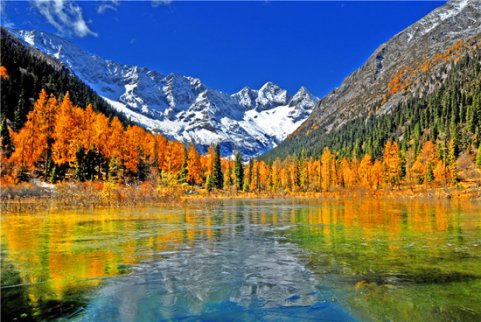 新三板財經?大九寨旅游集團：IPO前夜遭遇地震，營救被困游客