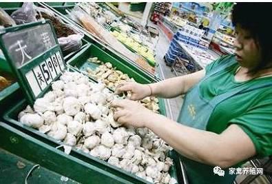 老井：蛋價上漲信號又出現 峰值要遠超14年