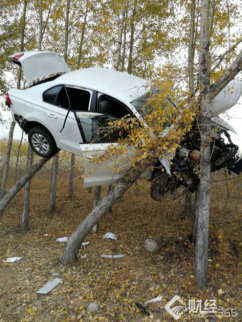 黑龍江離奇車禍：私家車竟然飛到樹上？