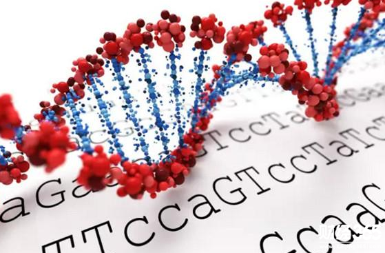 2017年十大科技神股