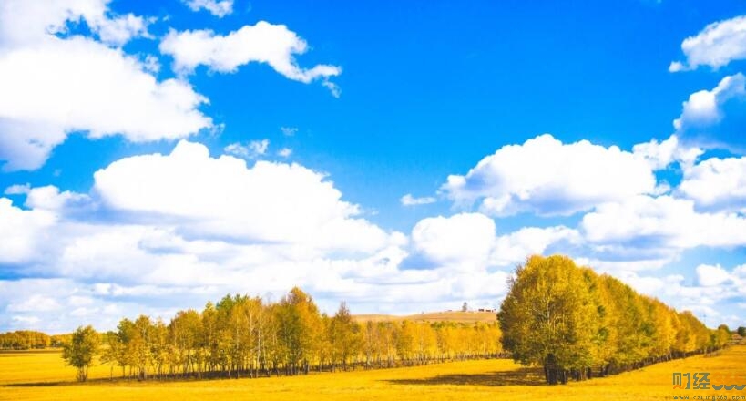 大盤暴漲至3000點(diǎn)投資洼地在哪？