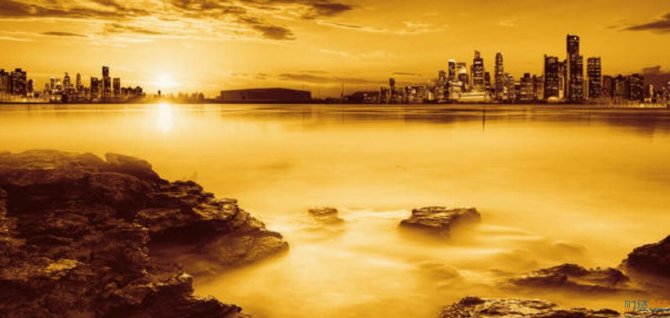 財經365零基礎學理財-天鵝到家暫停上市？